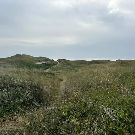 Ferienhaus 6 Person In Hvide Sande-by Traum *