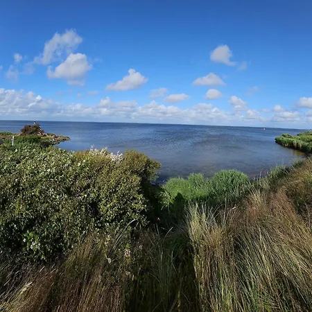 6 Person In Hvide Sande-by Traum Ferienhaus *