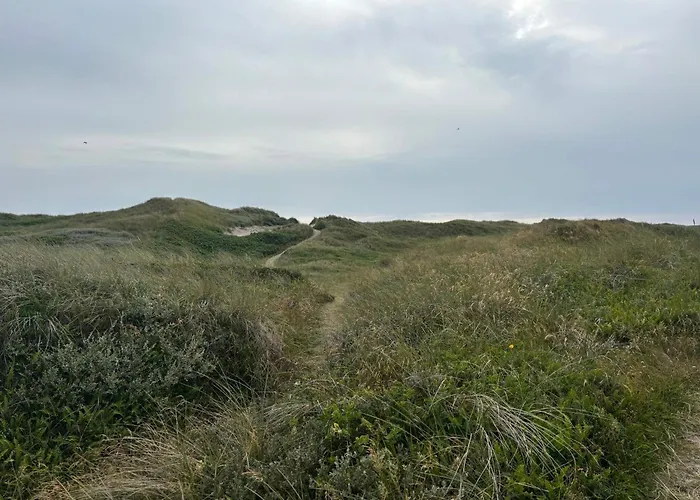 Casa vacanze 6 Person In Hvide Sande-by Traum *